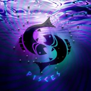 Meet your Posher, Roderick